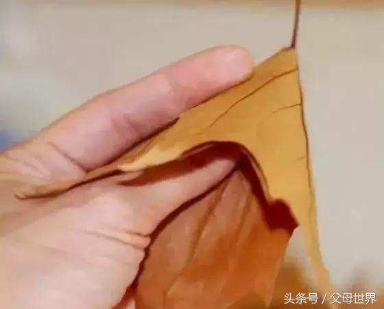 用枯枝落叶做成的简单艺术品,幼儿园秋天的落叶艺术品