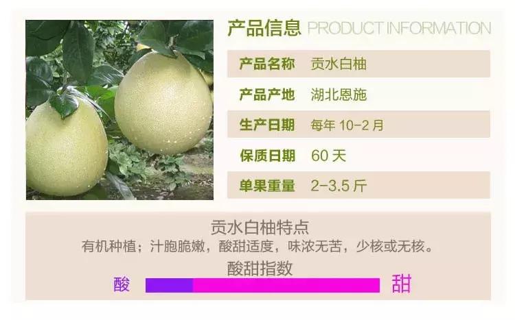 宣恩县县长宣传贡水白柚,恩施宣恩贡水白柚