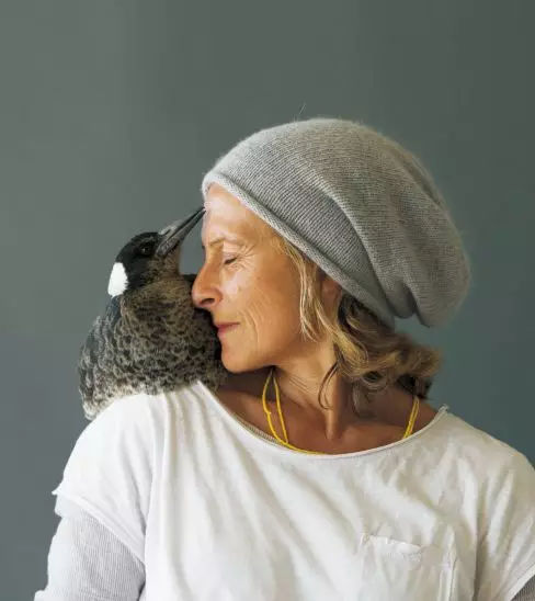 电影节小说片段,电影节都放哪些影片