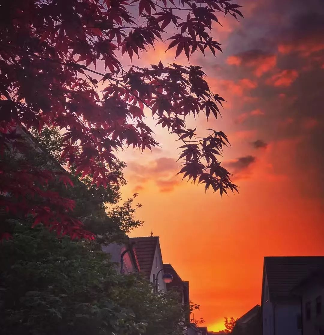 月亮落七宫,月亮落七宫代表什么