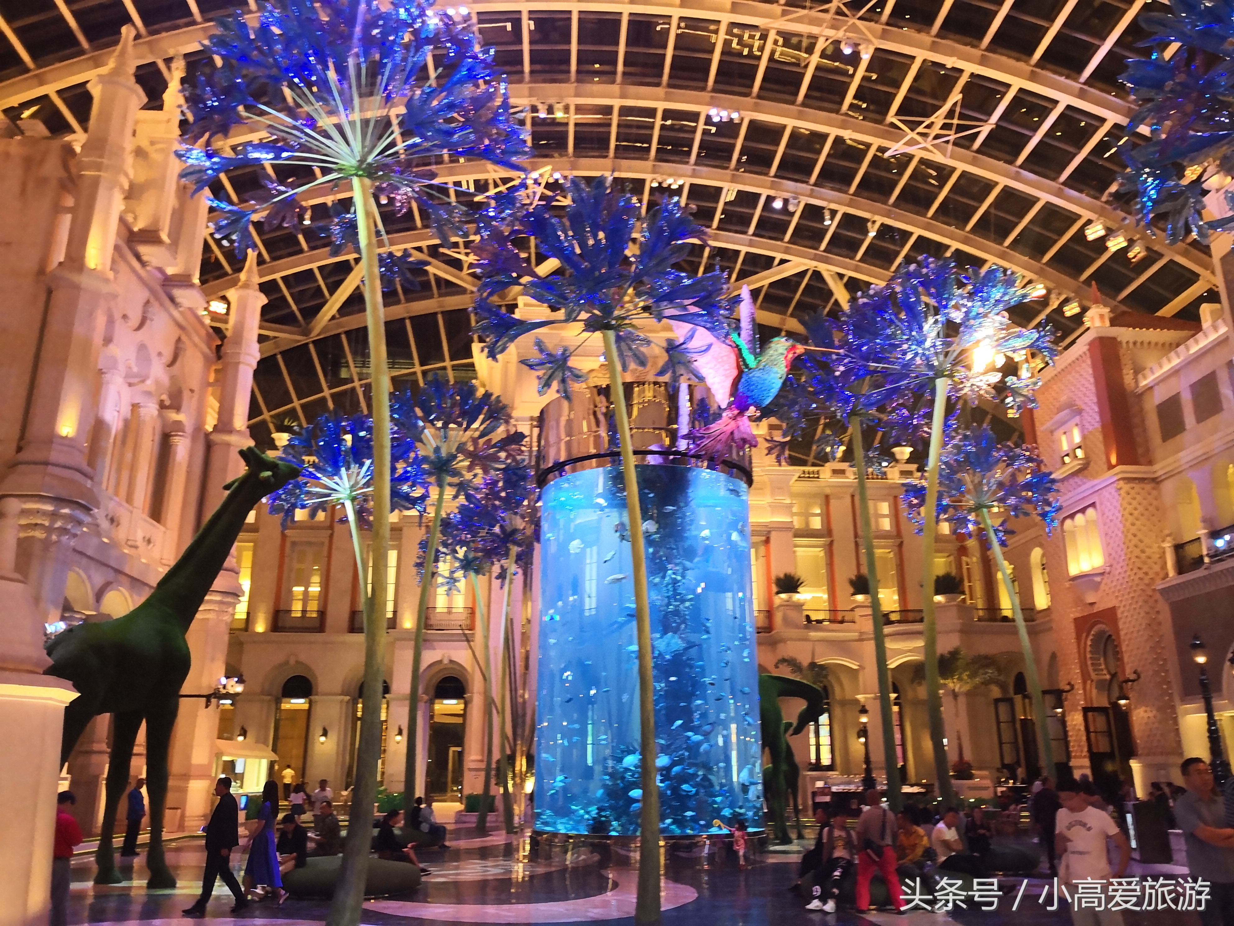 香港澳门七天自助游最佳路线,香港澳门七日旅游线路