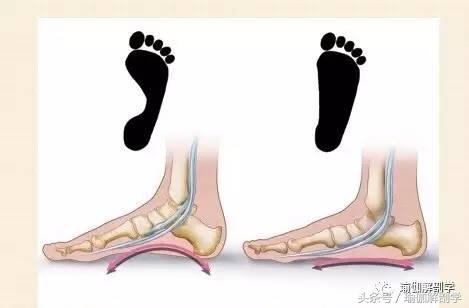 初学者必懂的13个基本瑜伽常识,瑜伽拜日式108遍口令视频中文