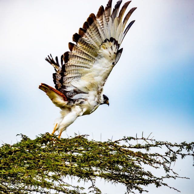 去非洲旅行，如何寻找拍摄题材？
