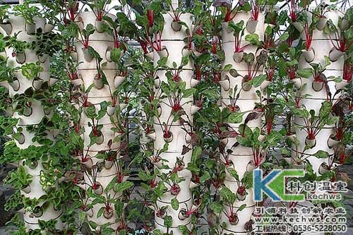 大阳台无土栽培蔬菜,室内阳台立体无土栽培菜园视频