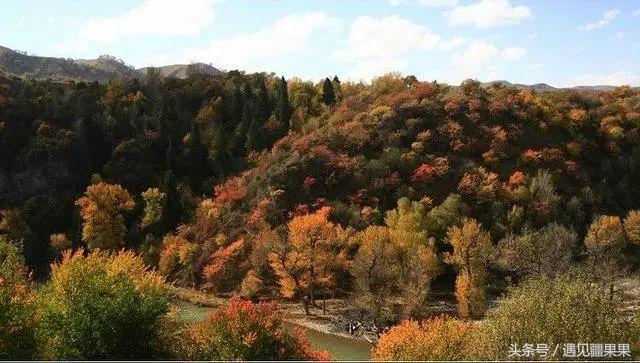 伊犁最美旅游风景区,伊犁旅游攻略探索最美风光