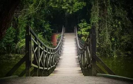 唐嫣罗晋维也纳结婚请帖地点,喜糖糖结婚