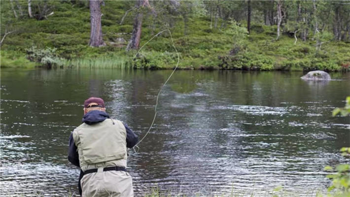 怎么解决手竿浮钓鲢鳙走水的问题,手竿钓鲢鳙技巧也就一招