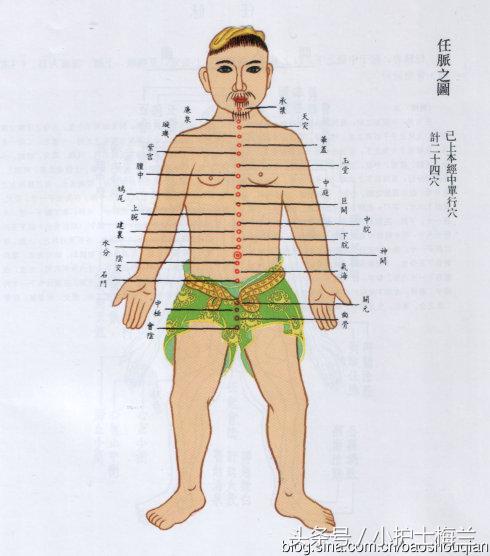任督二脉功法图,真气打通任督二脉图解