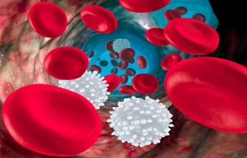 化疗后白细胞低怎么办才好,化疗引起白细胞低吃什么药