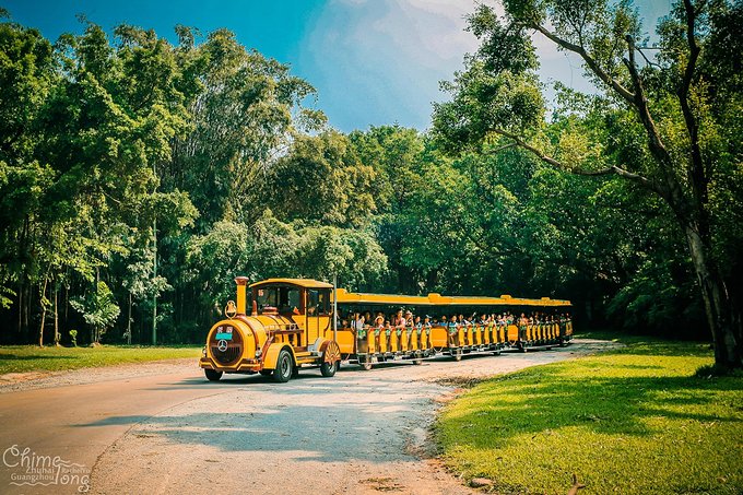 不出国门看世界完整版,不出国门就能看遍五大洲珍奇动物