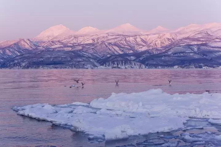 冬天去日本北海道的攻略,冬季日本北海道游记