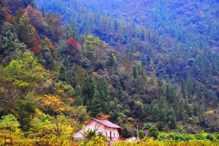 宜昌百家文化生活空间正在推选丨长阳卓尔文旅：你想要的诗与远方