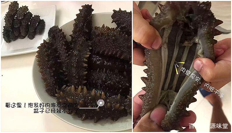 野生干海参鉴别三招,干海参的食用方法及禁忌和副作用