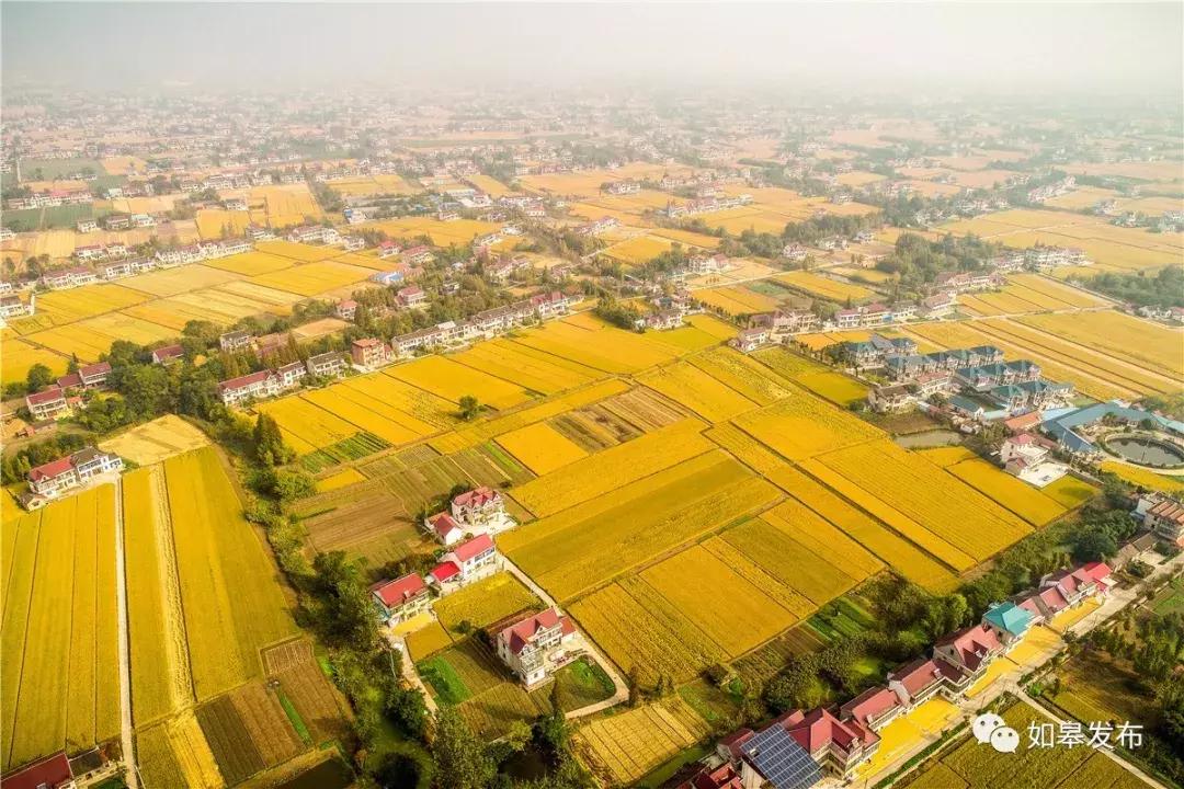 如皋未来最好的城市,如皋的发展潜力