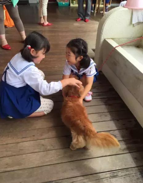 日本幼儿园教育课程缺点,日本幼儿园教育的十个细节