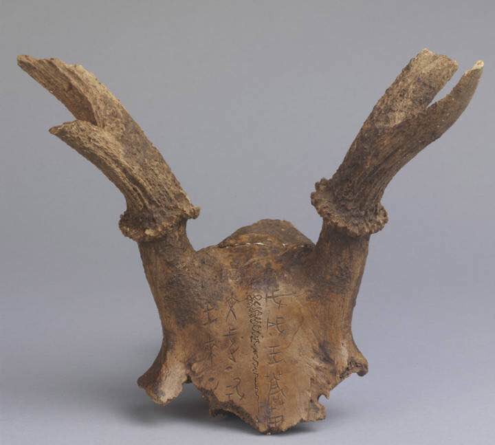 这座古墓出土神秘陶俑,明鲁王陵出土文物