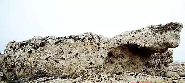 湘江挖出铁牛,千里湘江第一湾照片