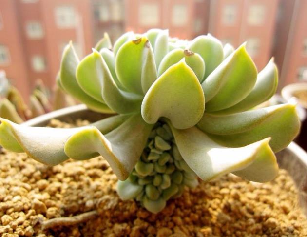 财运正旺不宜做的事,想财运旺记住这几件事