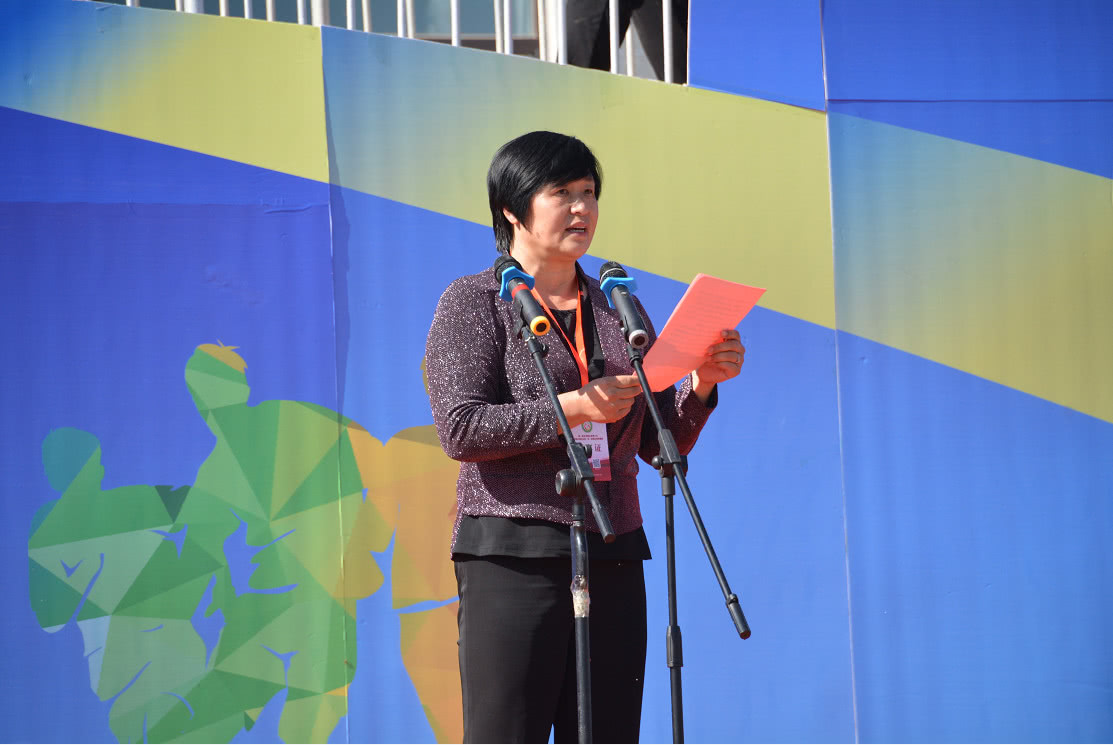 全国青少年校园足球联赛大区赛,2017京津冀校园足球邀请赛