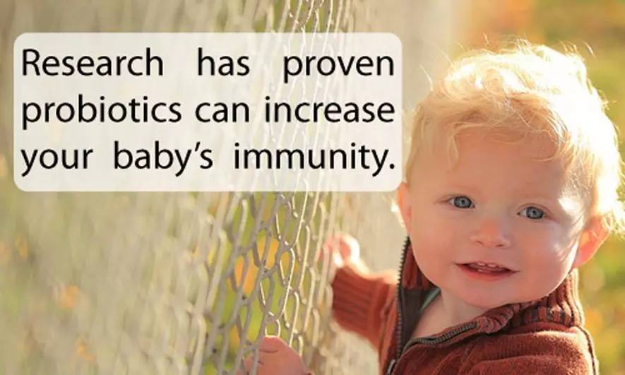 美乐家益生菌视频,美乐家益生菌菌数