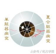 经方学习讲座,经方学堂分享