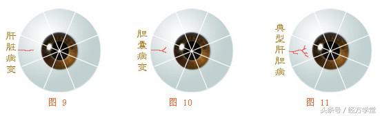 经方学习讲座,经方学堂分享