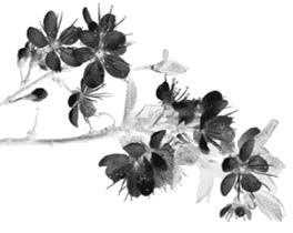 我可以说不,我可以说不歌曲