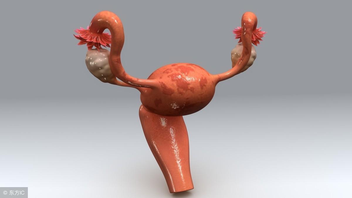 宫颈糜烂有真性、假性糜烂之分,如何区别