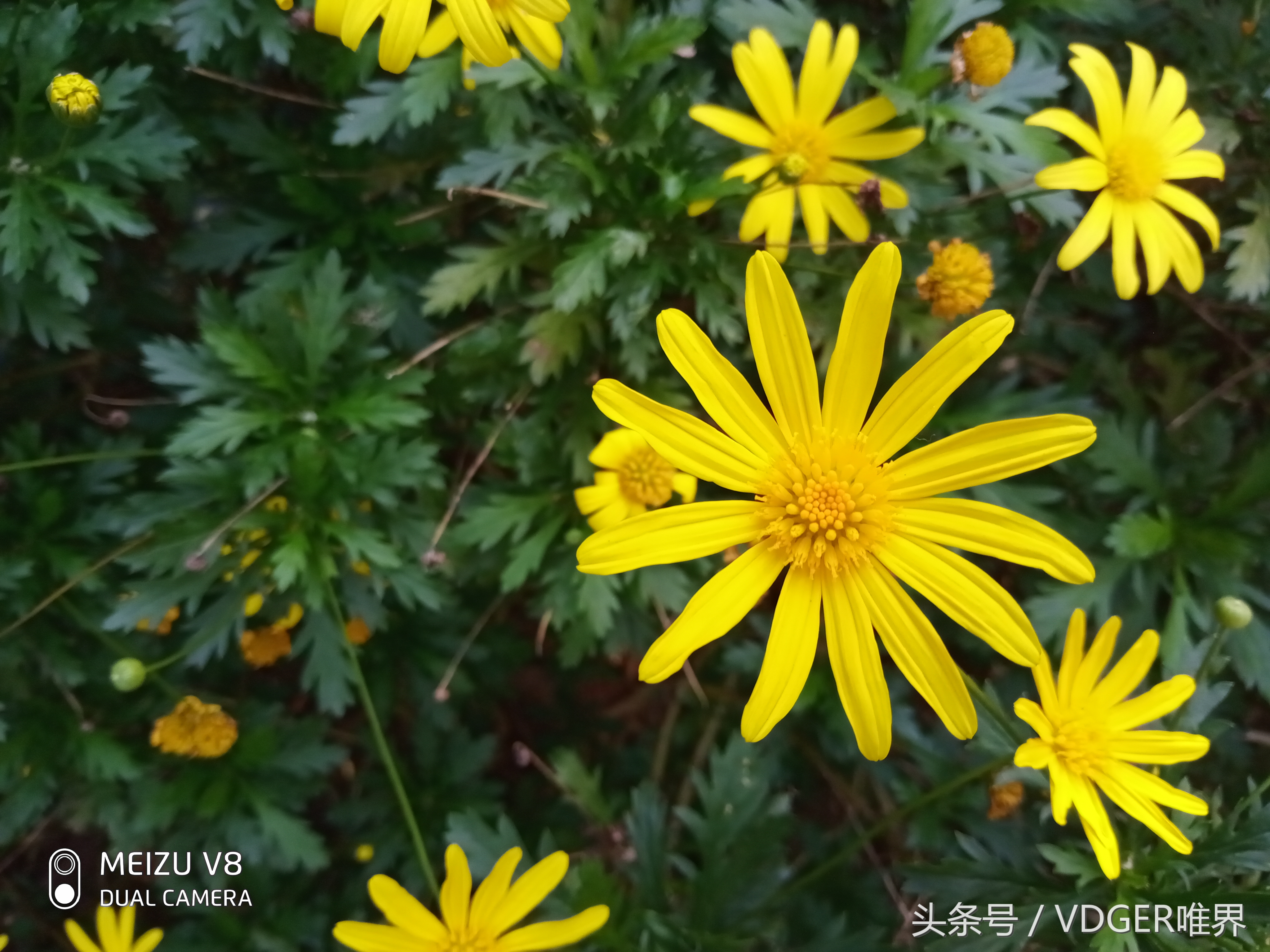 魅族v8怎么样值得购买吗,魅族v8新款手机