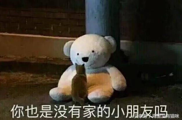 关爱流浪动物的视频,请关爱身边的流浪小动物