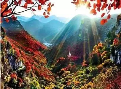 济南红叶谷在济南什么位置,山东济南红叶谷秋色