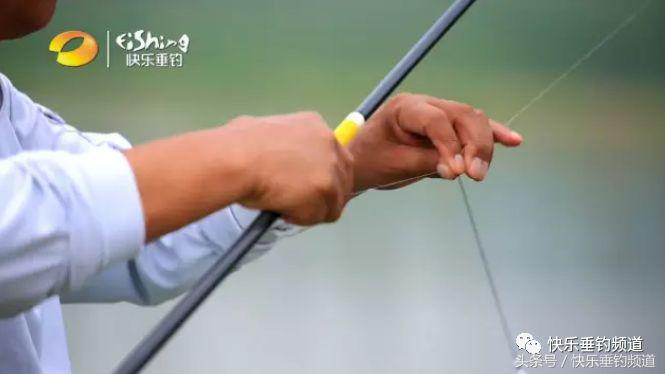 什么牌子的鱼竿调性比较标准,怎么知道自己鱼竿的调性