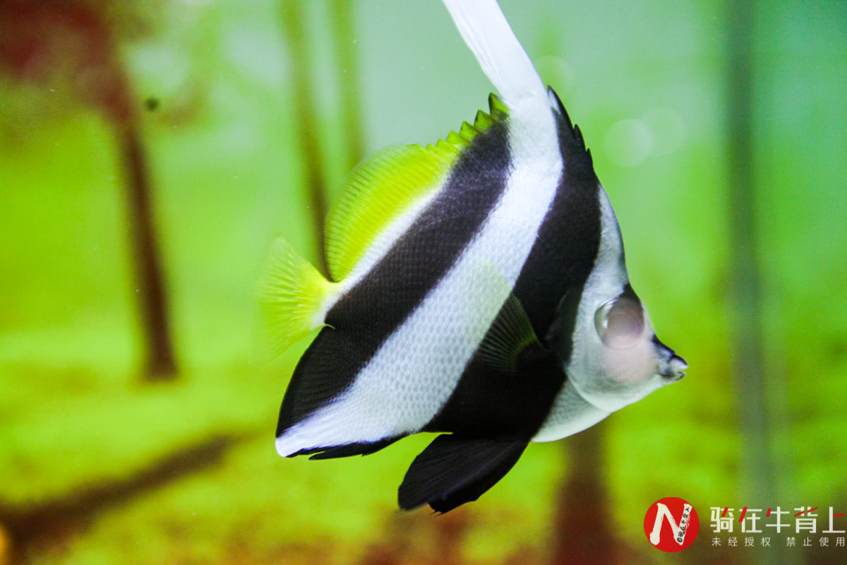 浙江性价比最高的海洋馆,高德免费预约台州海洋馆门票