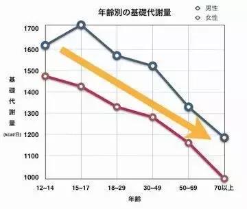 减肥成功后又复胖怎么办,减肥复胖10斤了怎么恢复