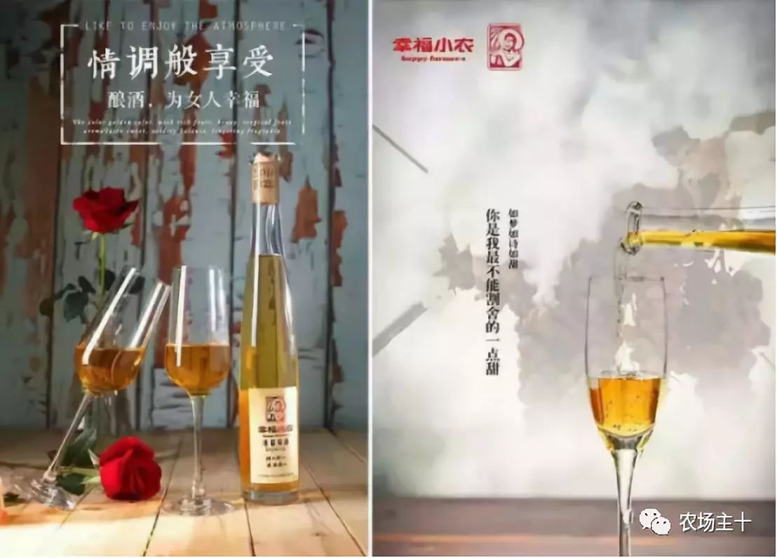 他用一块地做火2个产业，在冰葡萄田里把黑豆卖出4000万