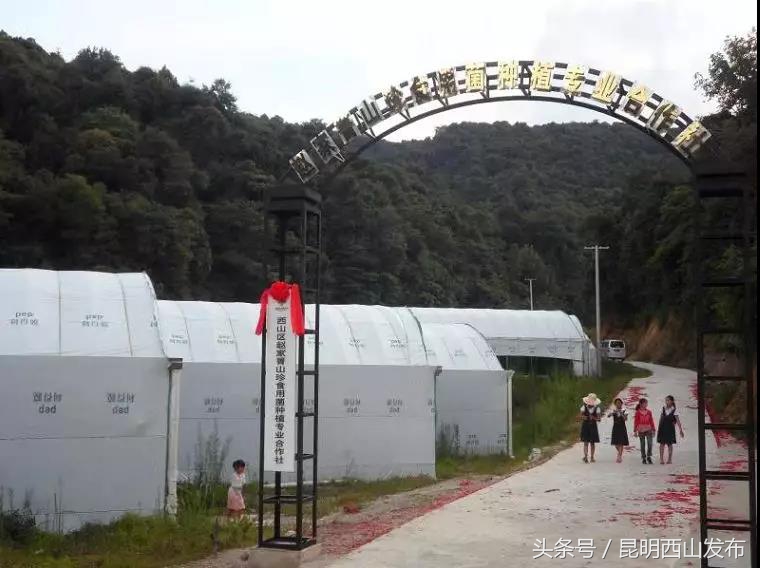 电商服务！将西山区团结街道的“山货”卖到了迪拜