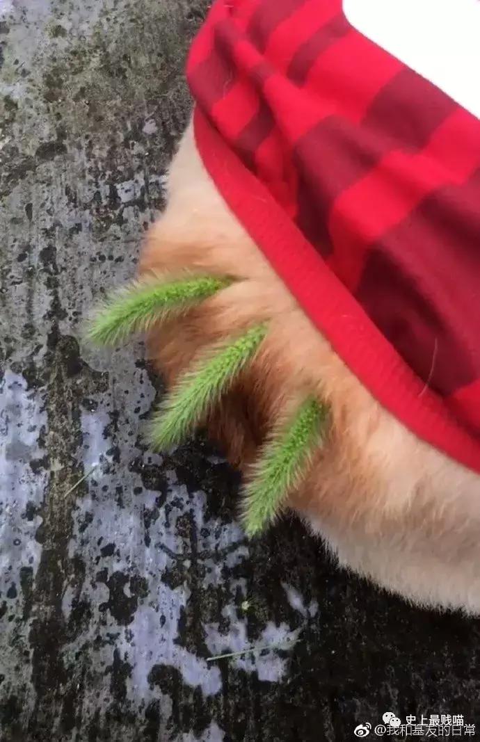 网友在微商那花5000买了个丁丁增大器？结果……