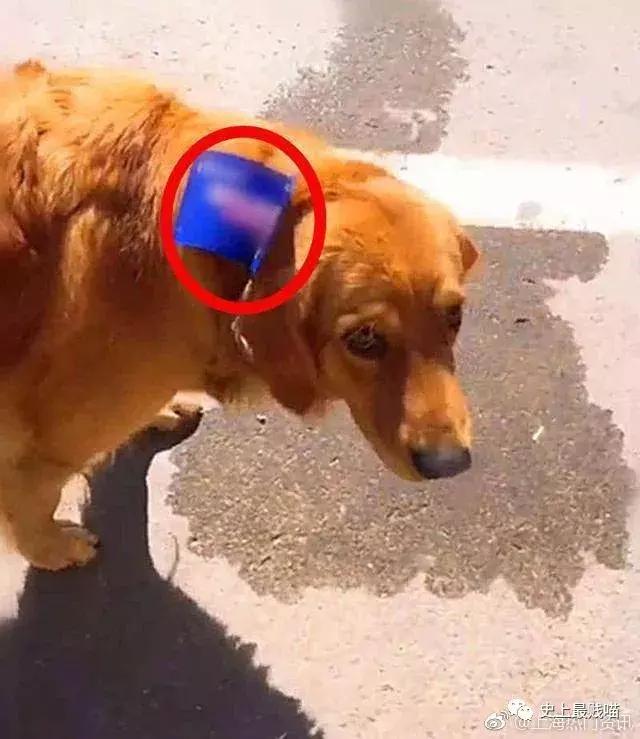 网友在微商那花5000买了个丁丁增大器？结果……