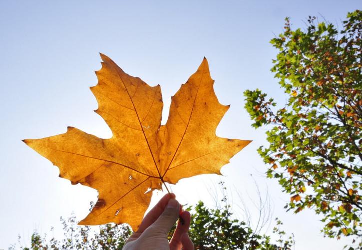 英语不好去加拿大留学攻略,去加拿大留学需要英语吗