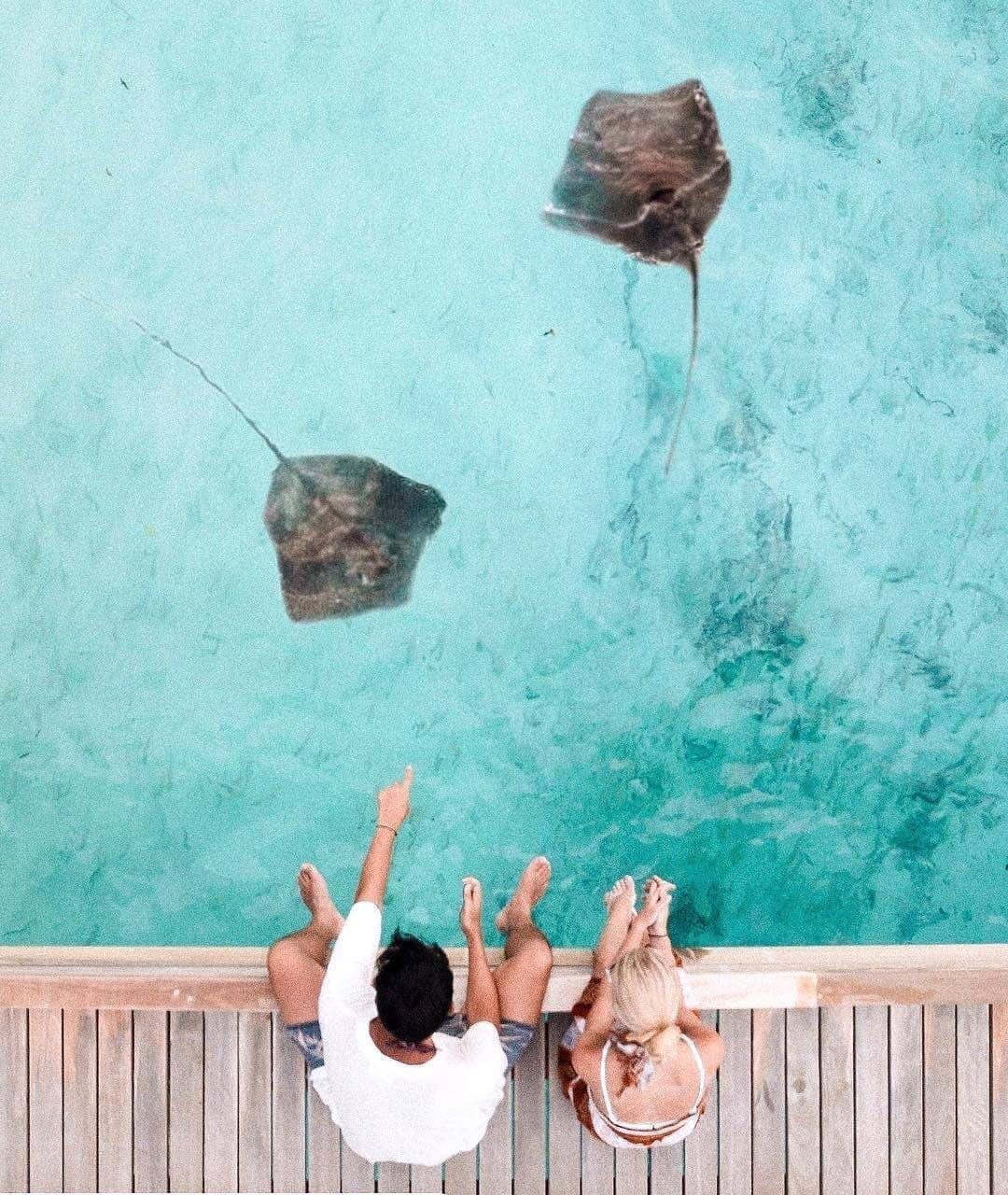 马尔代夫多个绝佳的岛屿推荐,探索马尔代夫最迷人的度假胜地