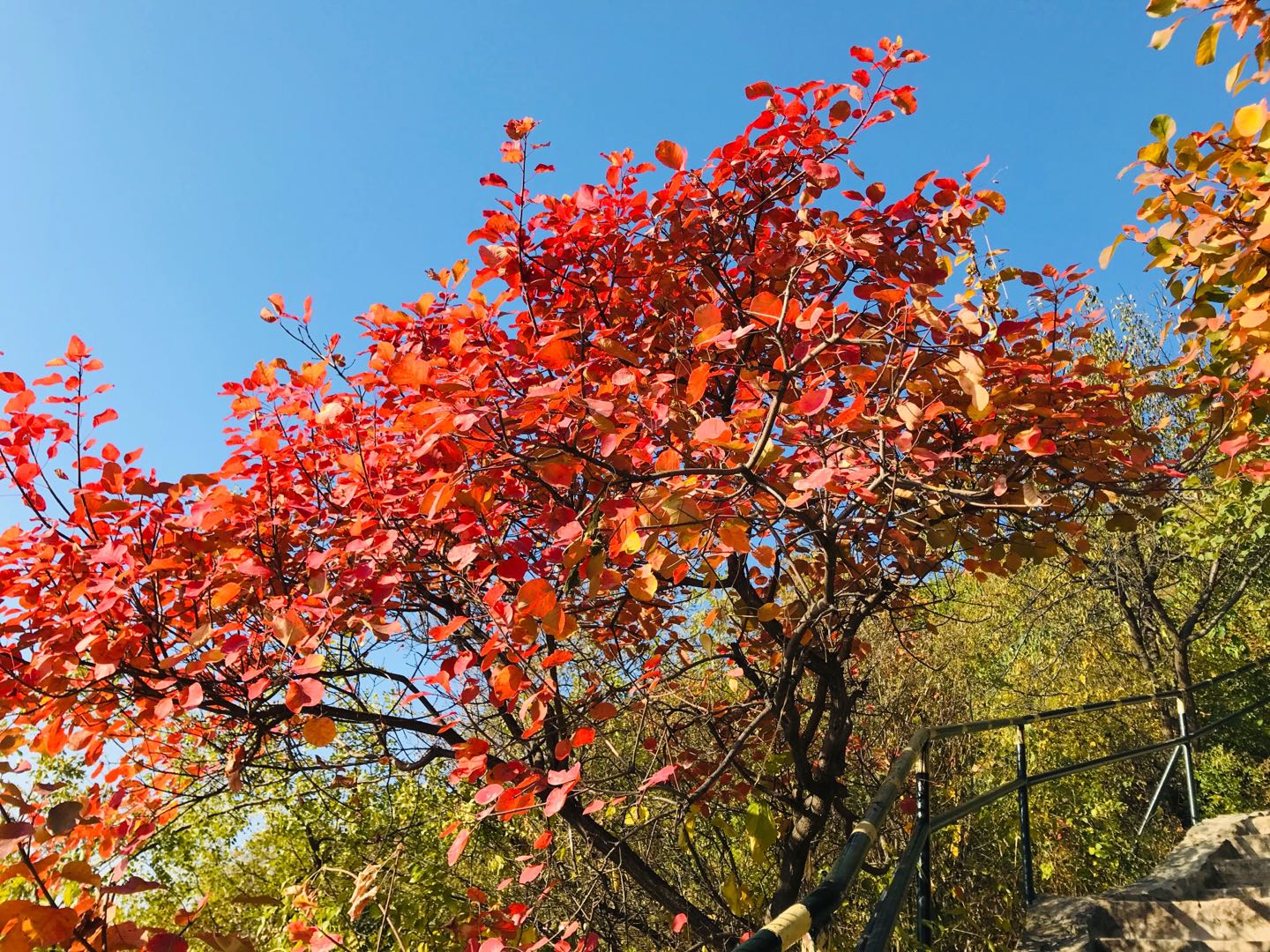 宝宝一岁晚上睡不踏实夜醒频繁,一岁四个月宝宝晚上睡觉频繁夜醒