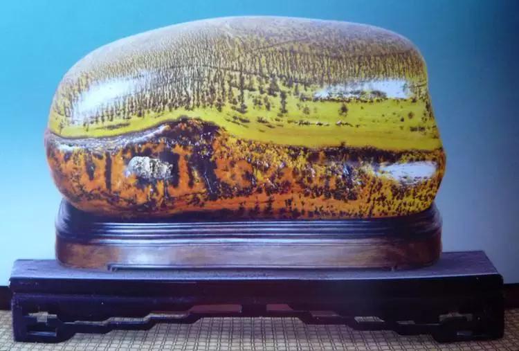 80种中国奇石让你认石不难,奇石种类一览表图解