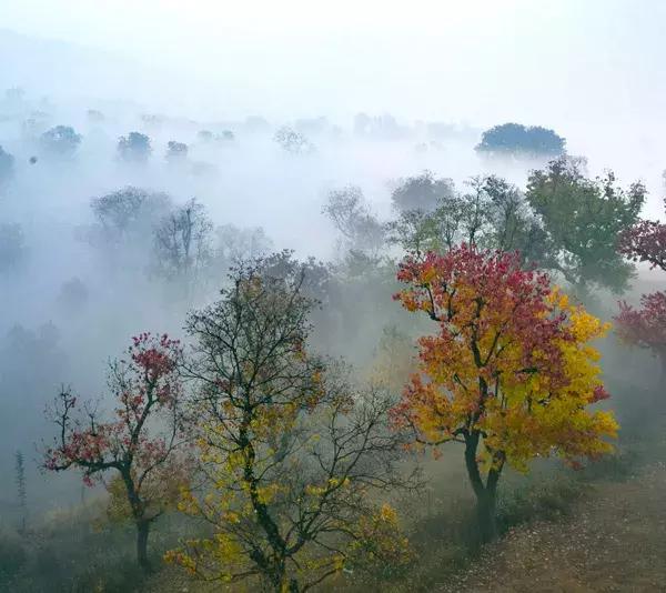 大悟,一个和婺源相媲美的地方,等了一整年的最红秋色终于来了!