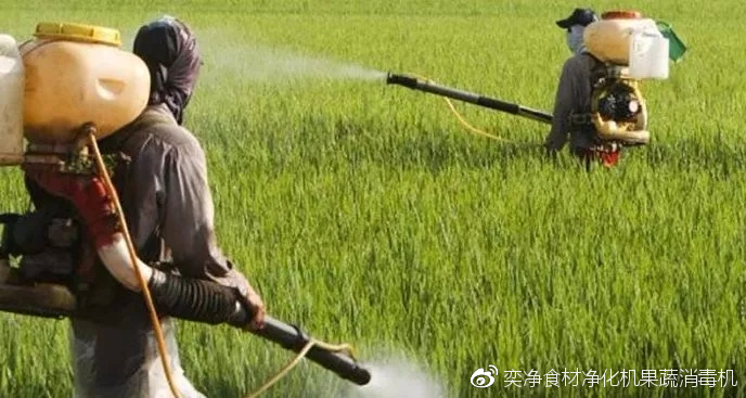 澳洲麦片是不是智商税,澳洲麦片是天然麦片吗