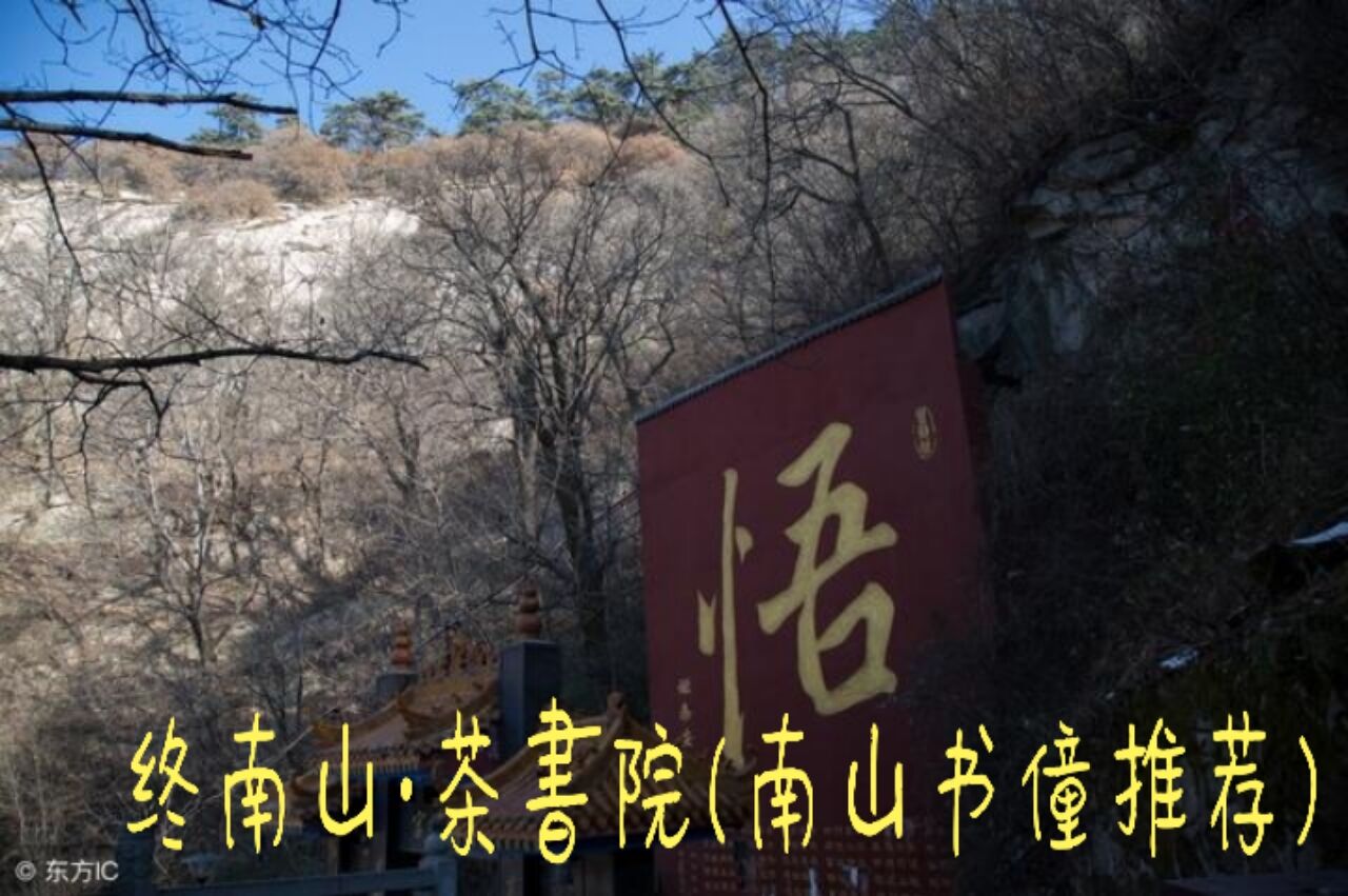太乙游龙山终南茶书院——《问道》南山书僮文/尉迟英子