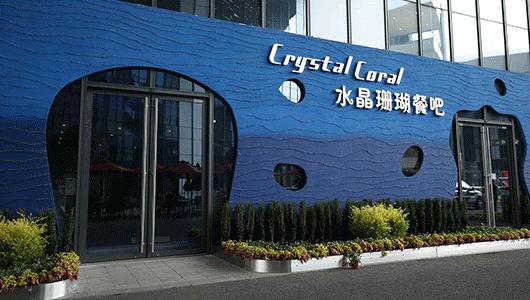 进博会指定餐饮,第三届进博会美食攻略