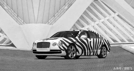 懂鄂飞|深度:获3亿融资加紧跑马圈地,斑马快跑到底还能跑多远