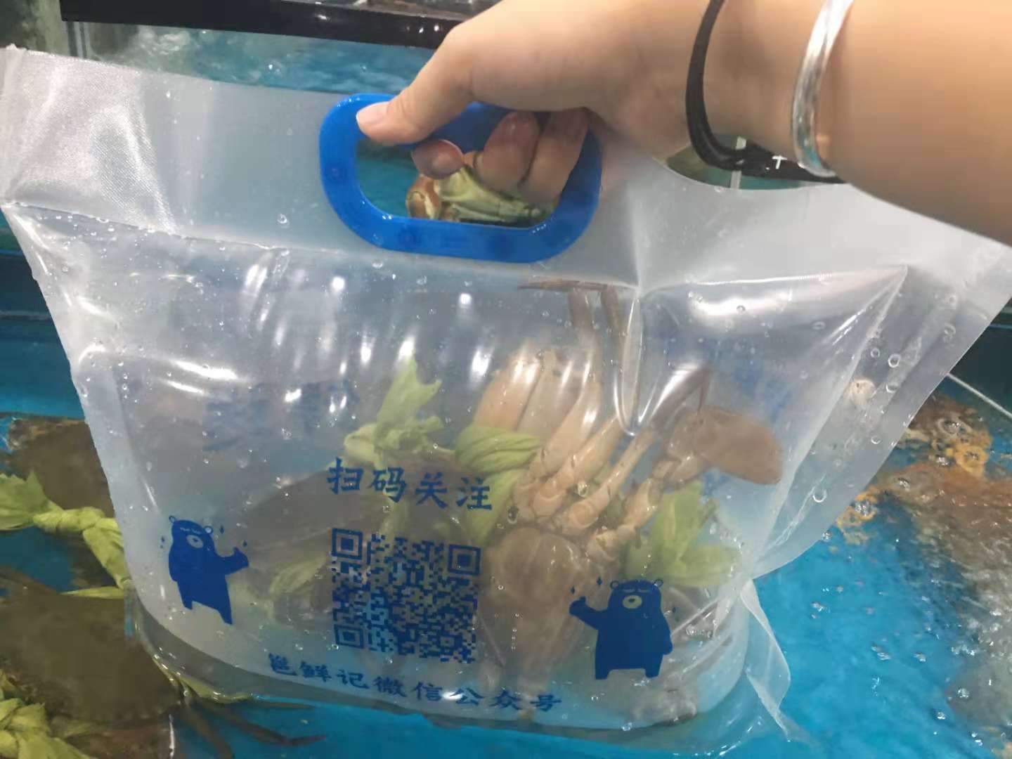 买回来的螃蟹变颜色了还发臭,买来活螃蟹10小时后冷冻是否能吃