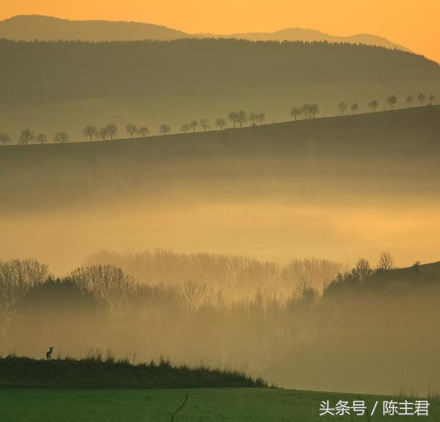 70张让人大开眼界的照片,50张让人惊艳的照片