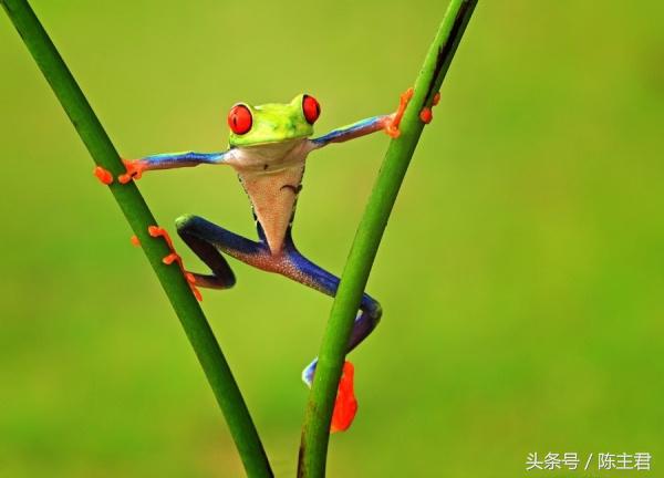 70张让人大开眼界的照片,50张让人惊艳的照片